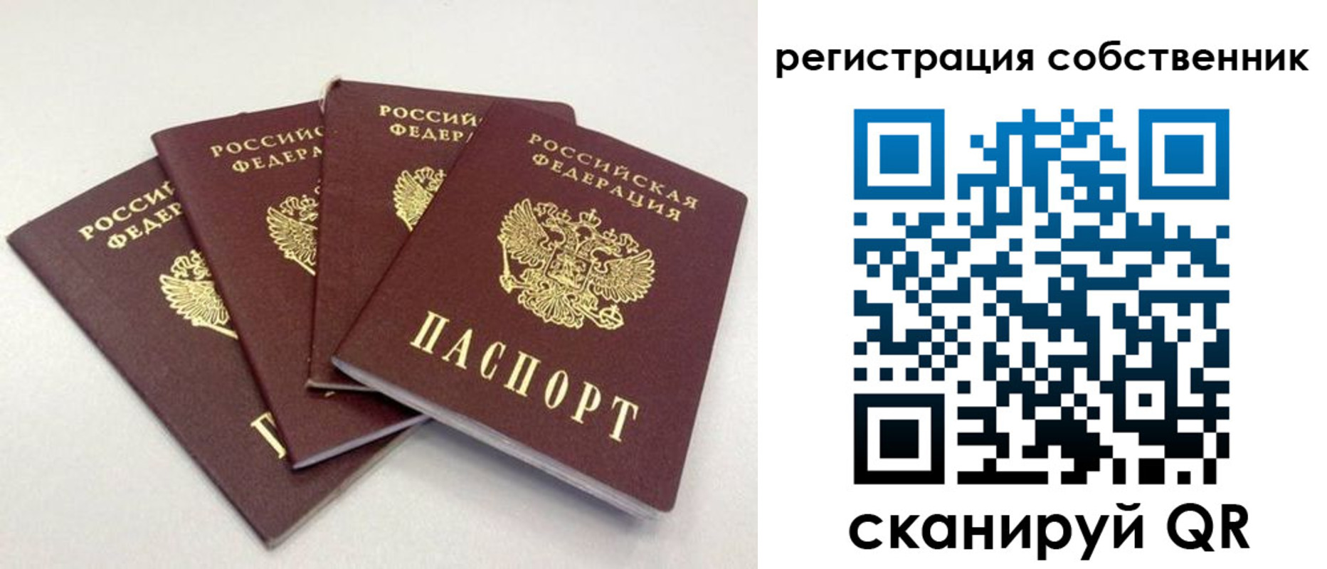 прописка для школы в Тайшете
